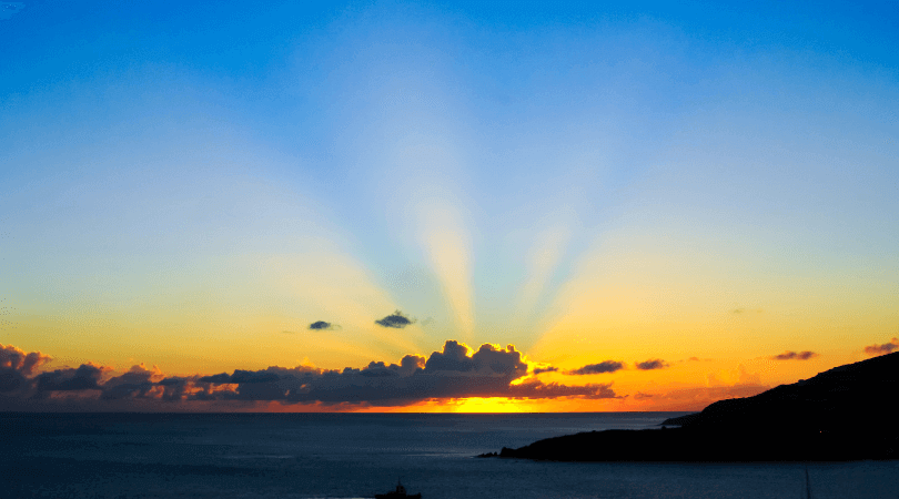 how to make money with manifest