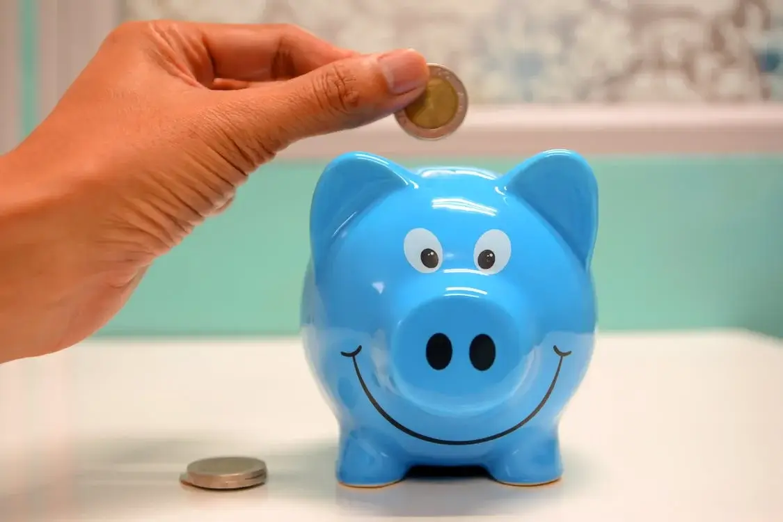 adding the money they made doing side hustles for accountants to a piggy bank