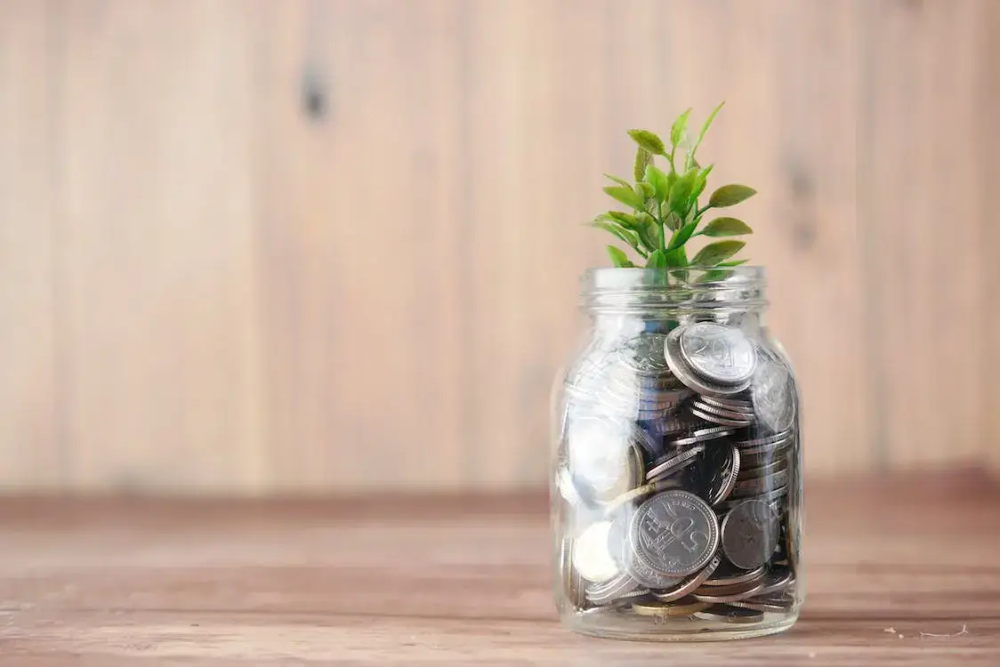 growing money and building wealth