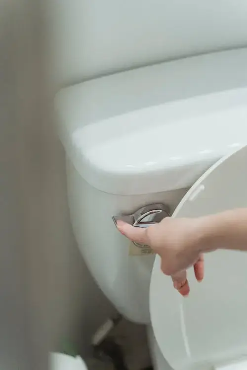 flushing a toilet